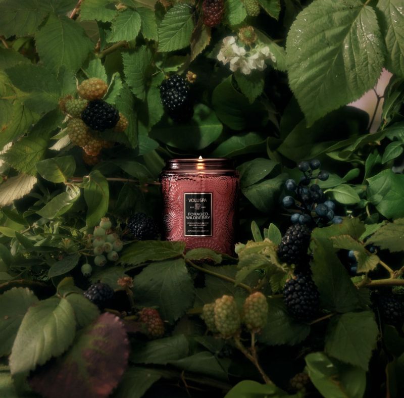Voluspa Foraged-Wildberry liten glasskrukke