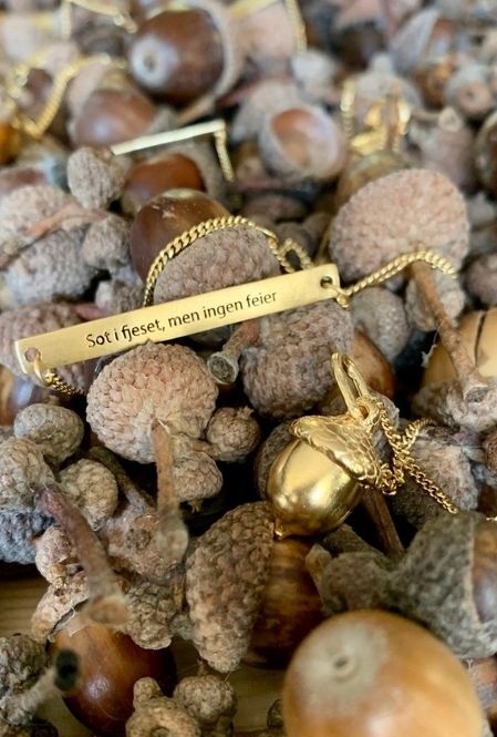 Hovedbilde Bjørg Jewellery - nøttesmykke med askepott ...